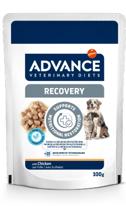 Advance Vet & Cat Recovery — Caixa com 11 saquetas de 100 g