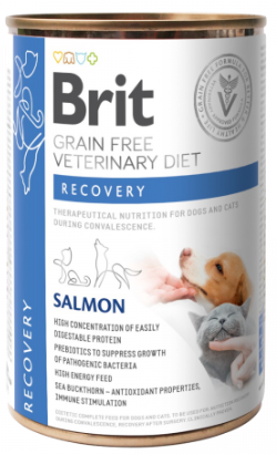 Brit Veterinary Diet Cat & Dog Recovery Salmão — 400g